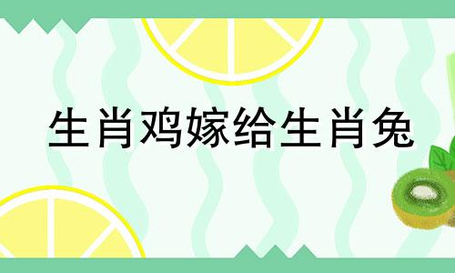 生肖鸡嫁给生肖兔