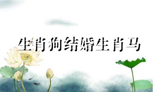 生肖狗结婚生肖马