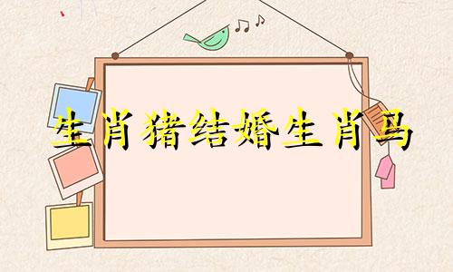 生肖猪结婚生肖马