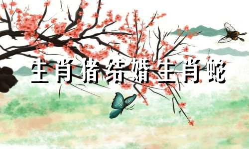 生肖猪结婚生肖蛇