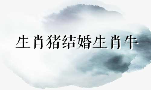 生肖猪结婚生肖牛