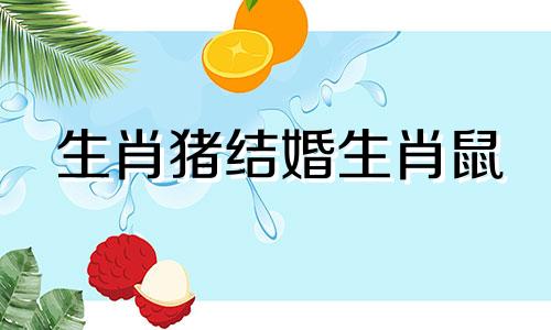 生肖猪结婚生肖鼠