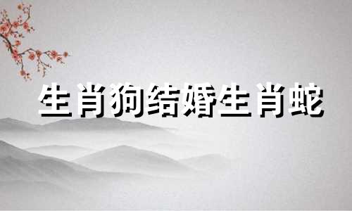 生肖狗结婚生肖蛇
