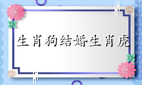 生肖狗结婚生肖虎