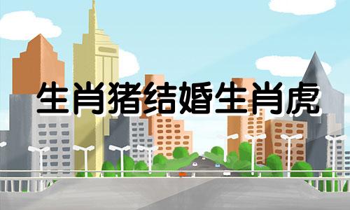 生肖猪结婚生肖虎