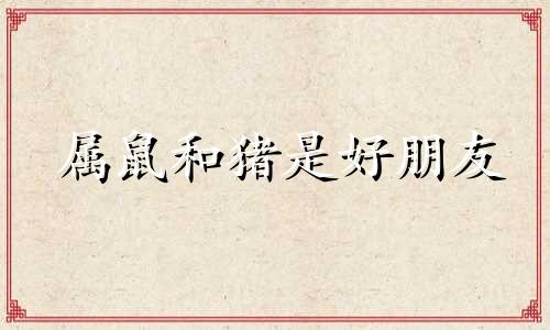 属鼠和猪是好朋友