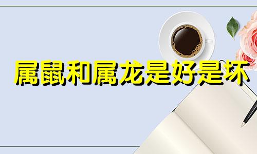 属鼠和属龙是好是坏