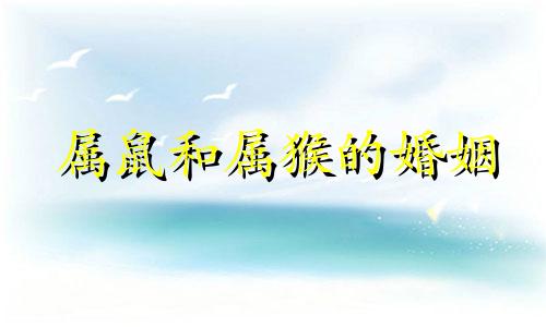 属鼠和属猴的婚姻