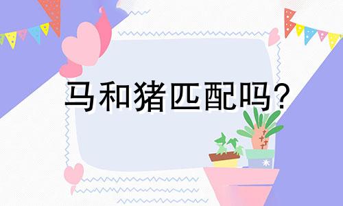 马和猪匹配吗?