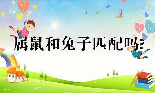 属鼠和兔子匹配吗?