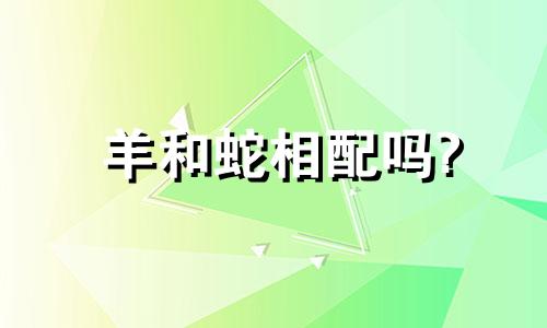 羊和蛇相配吗?