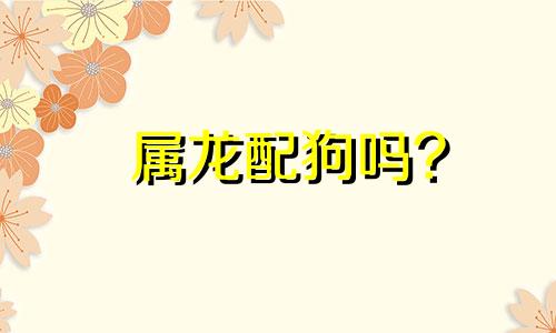 属龙配狗吗?