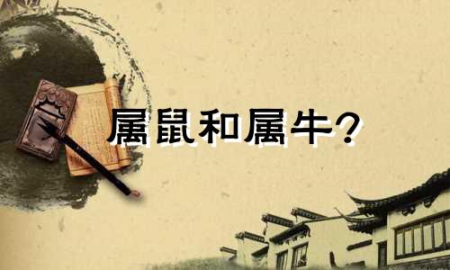 属鼠和属牛?