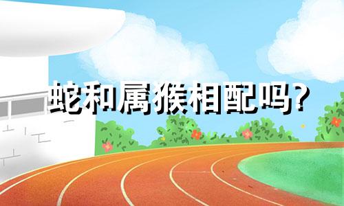 蛇和属猴相配吗?