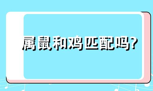 属鼠和鸡匹配吗?