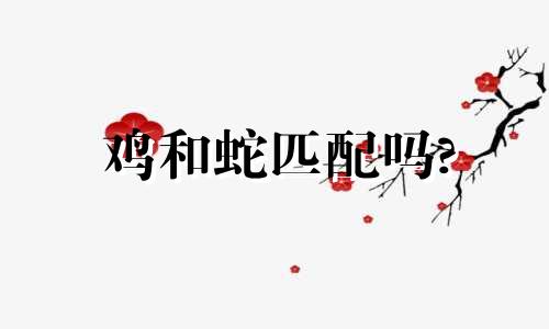 鸡和蛇匹配吗?