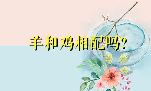 羊和鸡相配吗?