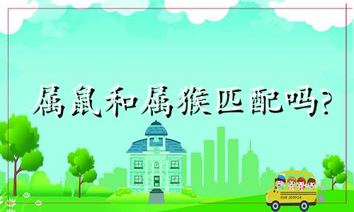 属鼠和属猴匹配吗?