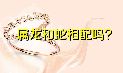 属龙和蛇相配吗?