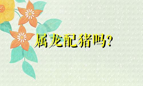 属龙配猪吗?