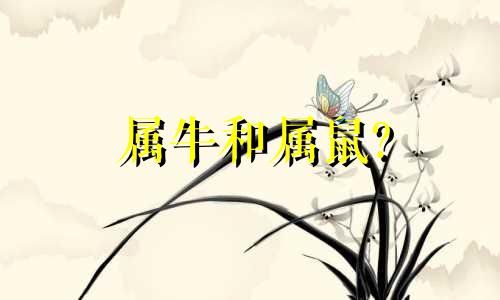 属牛和属鼠?