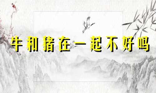 牛和猪在一起不好吗