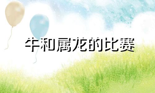 牛和属龙的比赛