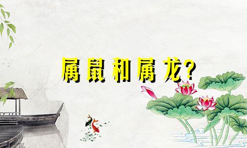 属鼠和属龙?