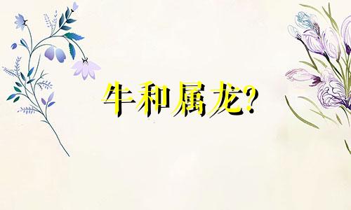 牛和属龙?