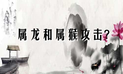 属龙和属猴攻击?