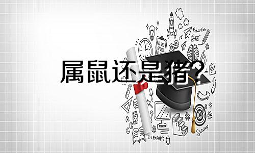属鼠还是猪?