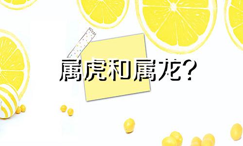 属虎和属龙?