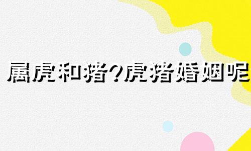 属虎和猪?虎猪婚姻呢?
