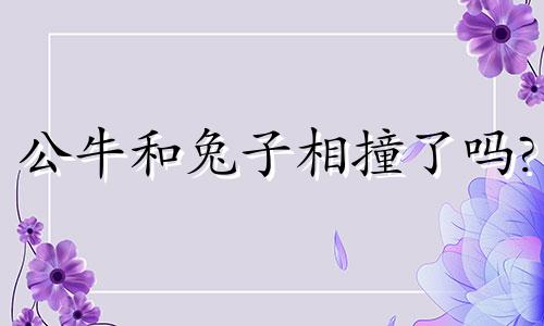 公牛和兔子相撞了吗?