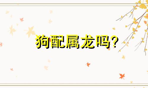狗配属龙吗?