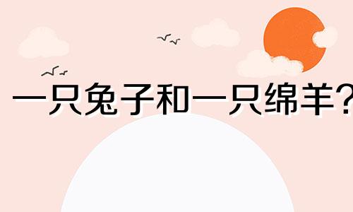 一只兔子和一只绵羊?