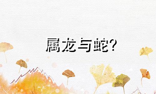 属龙与蛇?