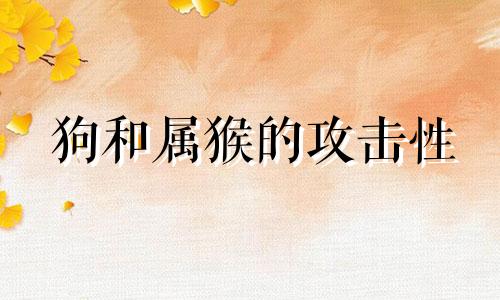 狗和属猴的攻击性