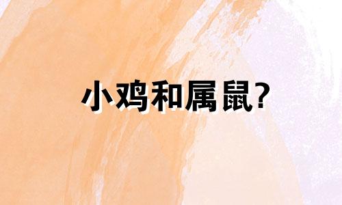 小鸡和属鼠?