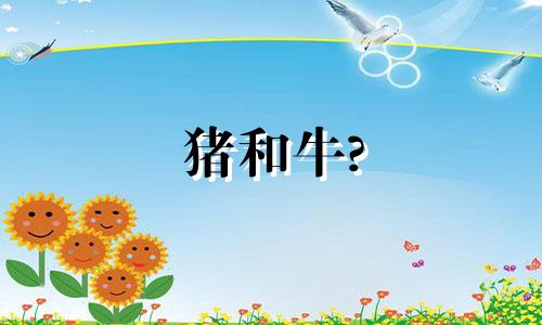 猪和牛?