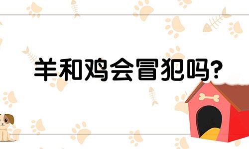 羊和鸡会冒犯吗?