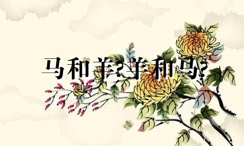 马和羊?羊和马?