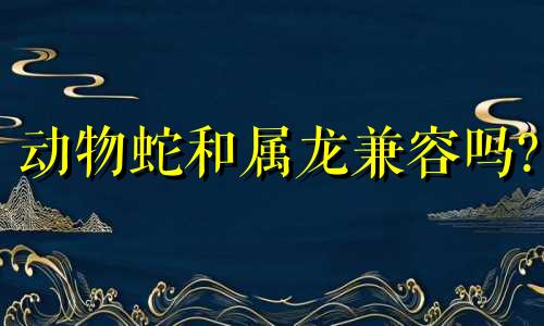 动物蛇和属龙兼容吗?