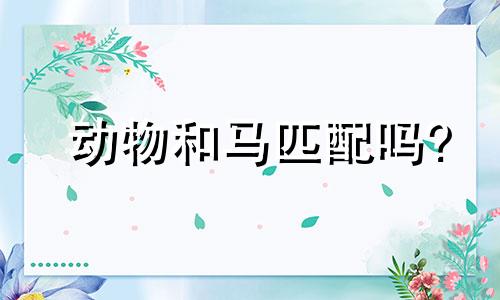 动物和马匹配吗?