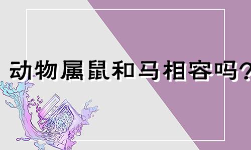 动物属鼠和马相容吗?