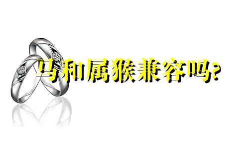 马和属猴兼容吗?