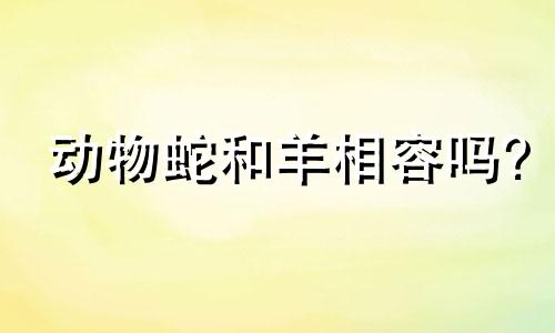 动物蛇和羊相容吗?