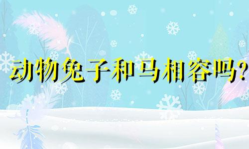 动物兔子和马相容吗?