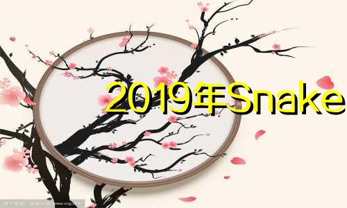 2019年Snake 1月时间表分析