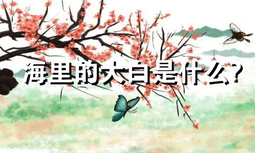 海里的大白是什么?
